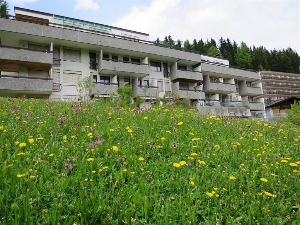 Franca U01 Arosa